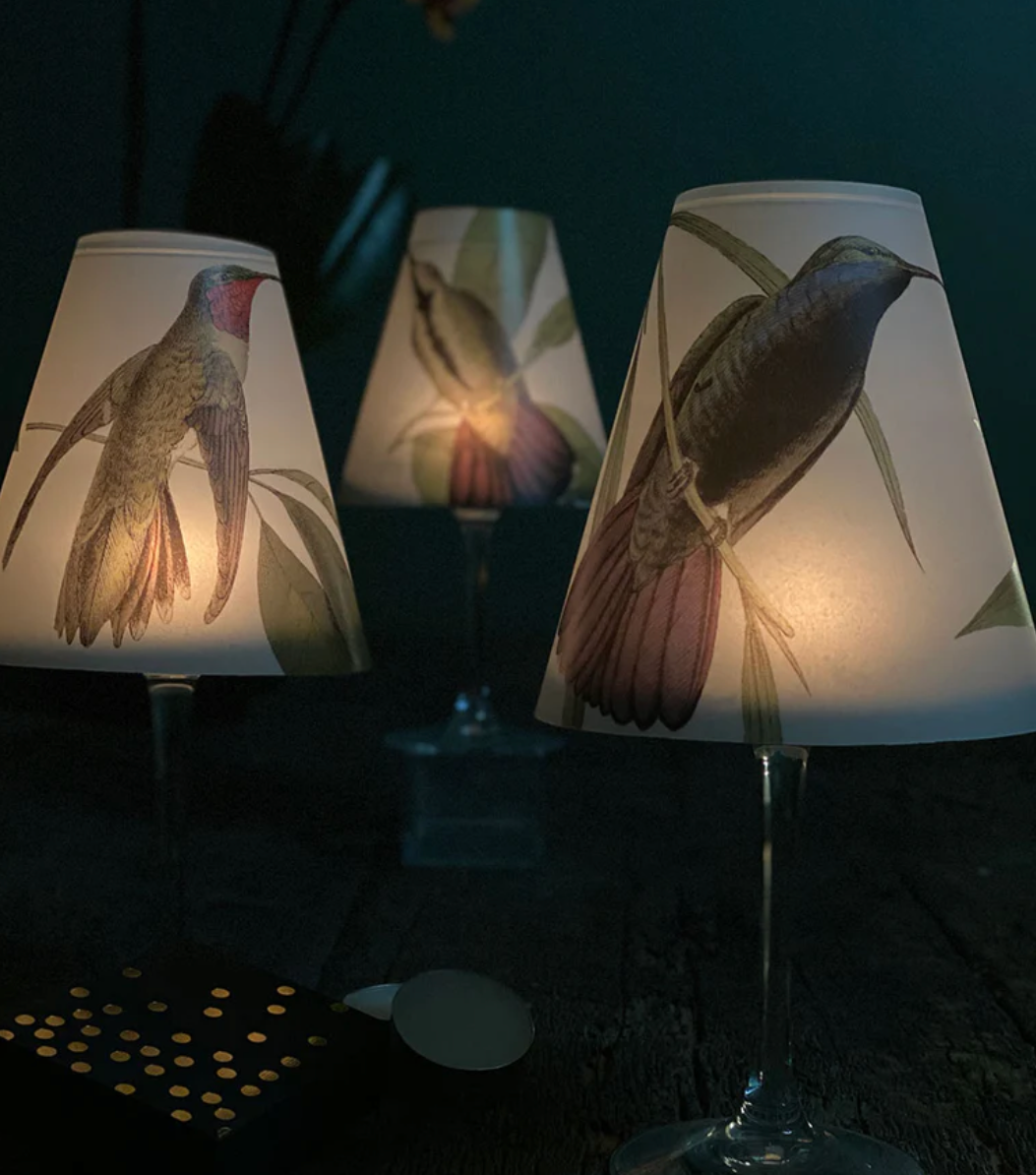Indigo De Papel Lamp Shade · Hummingbird