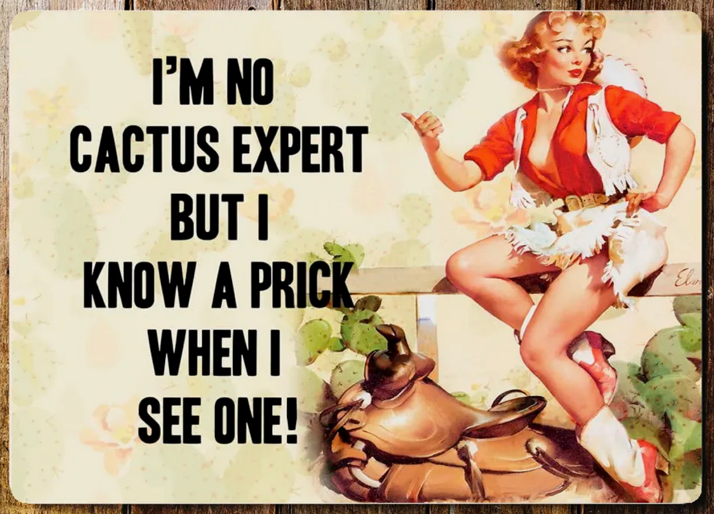 I'M No Cactus Expert But I Know A Prick Metal Wall Sign