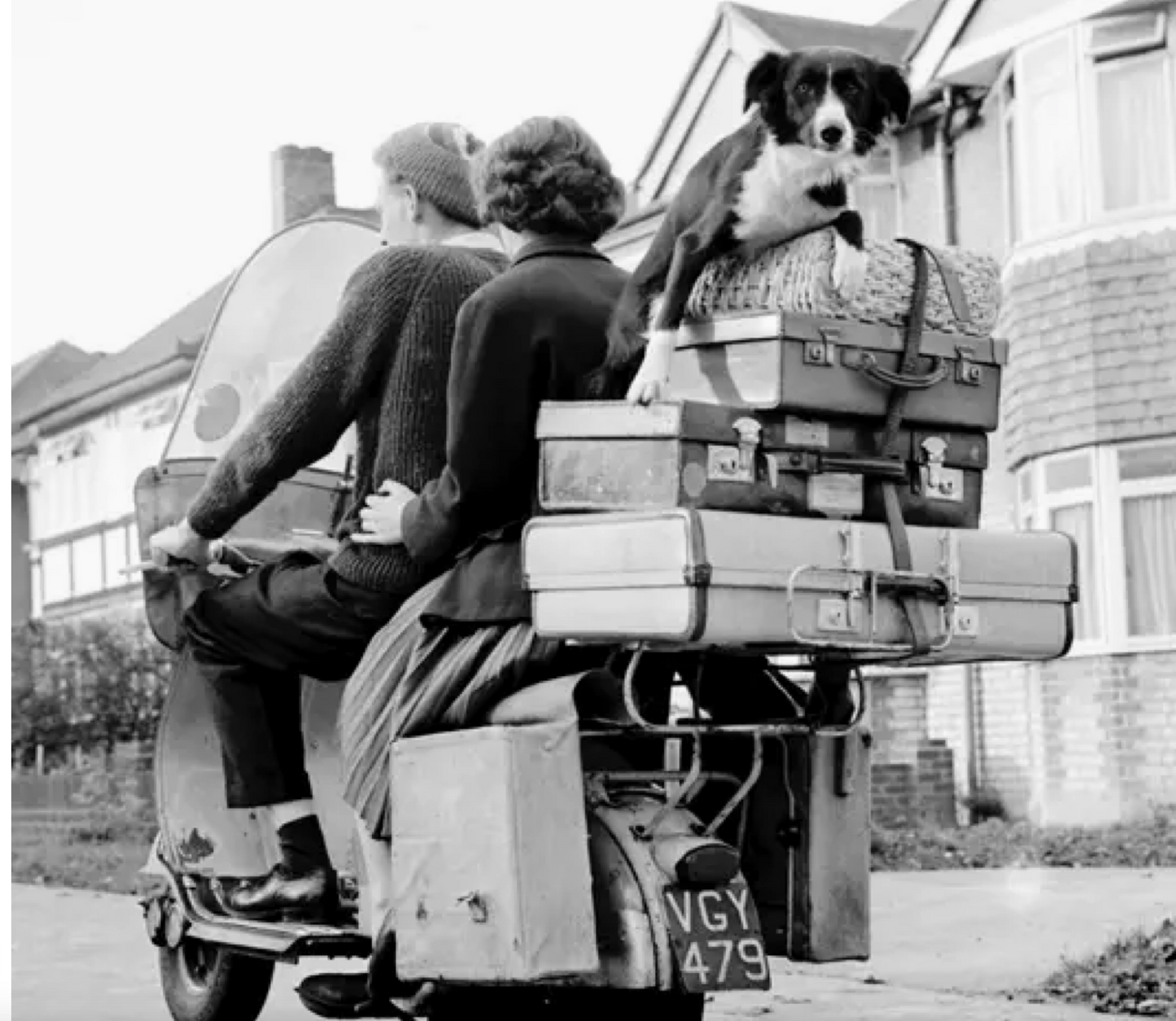 Dog On Back of Motorbike Blank Greetings Card