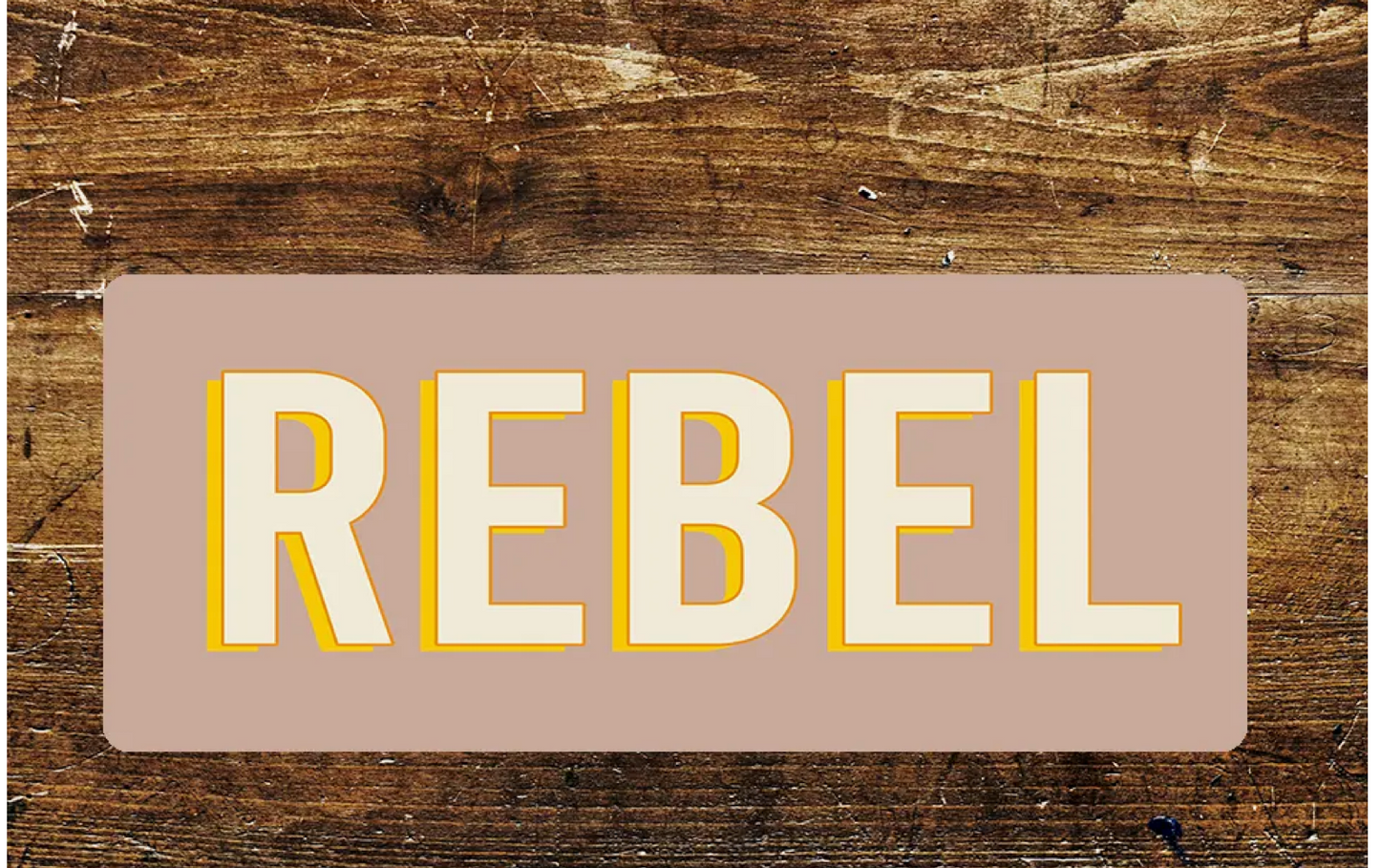 Rebel Collage Student Fun Notice Art Metal Sign