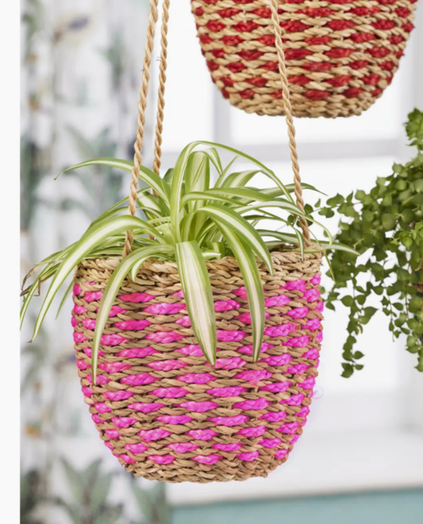 Hogla Hanging Planter Pink