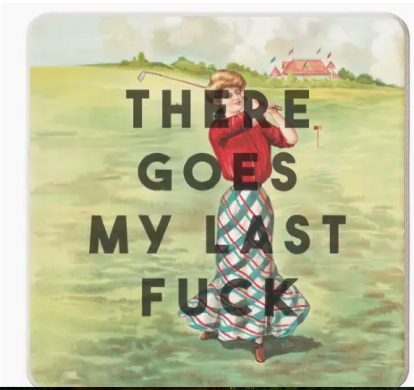 Coasters 'flying Fucks'