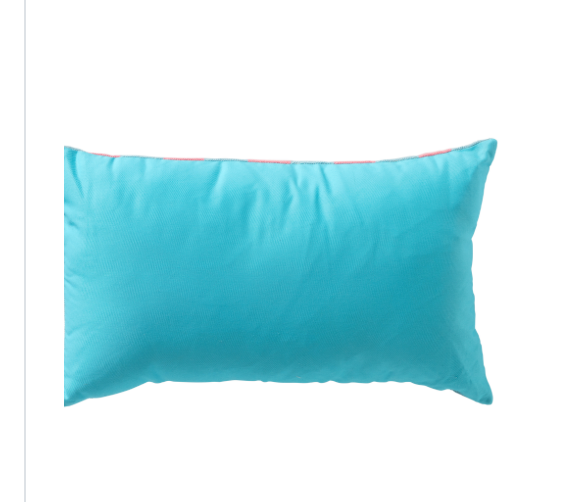 Cerise And Aqua Splash Cushion
