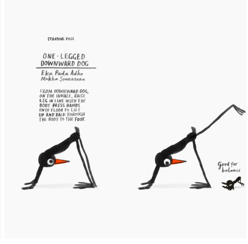 Yoga For Stiff Birds