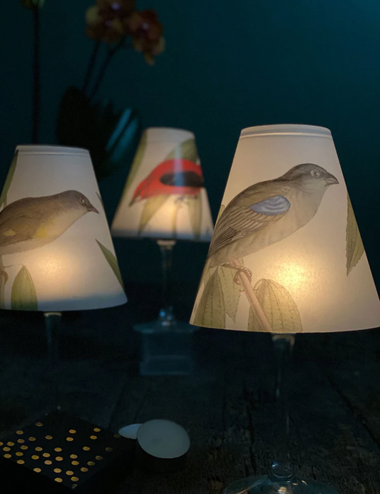 INDIGO DE PAPEL Lamp Shade · Colour Birds