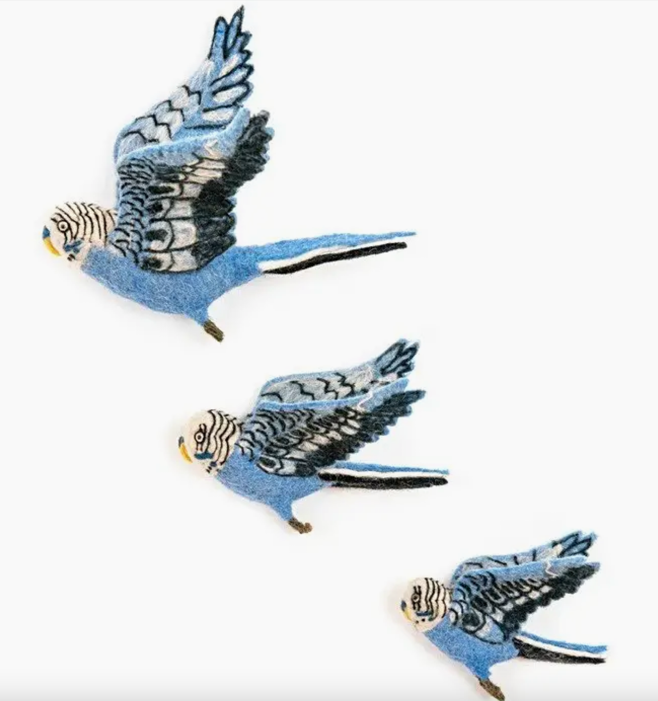 Flying Blue Budgie Wall Trio