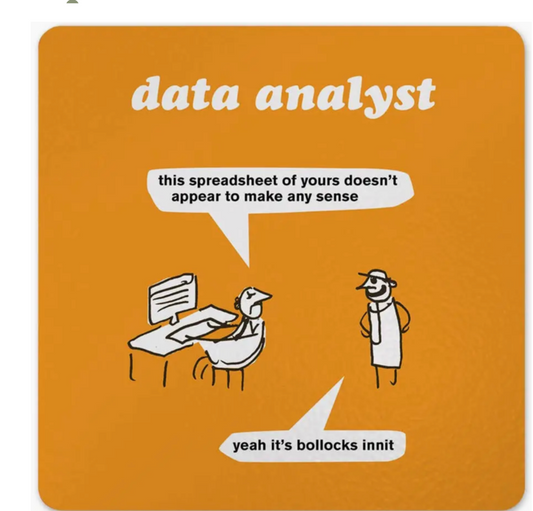 Data Analyst Coaster