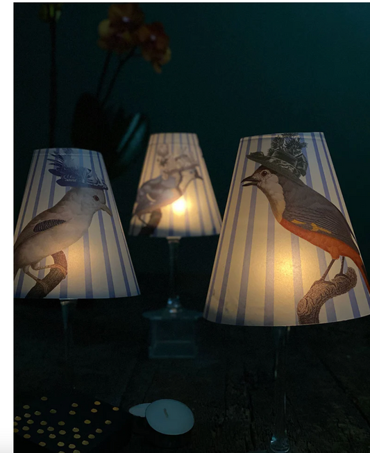 Lamp Shade · Cappelli Birds