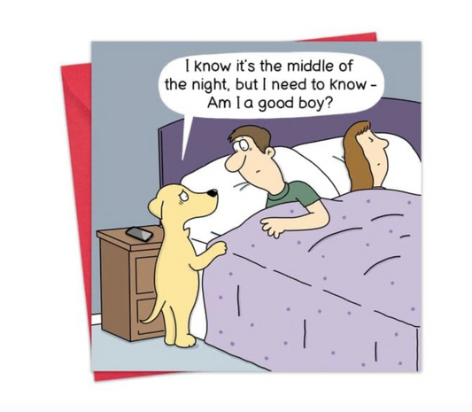 know its the middle of the night, but I need to know Am I a good boy? Greeting Card