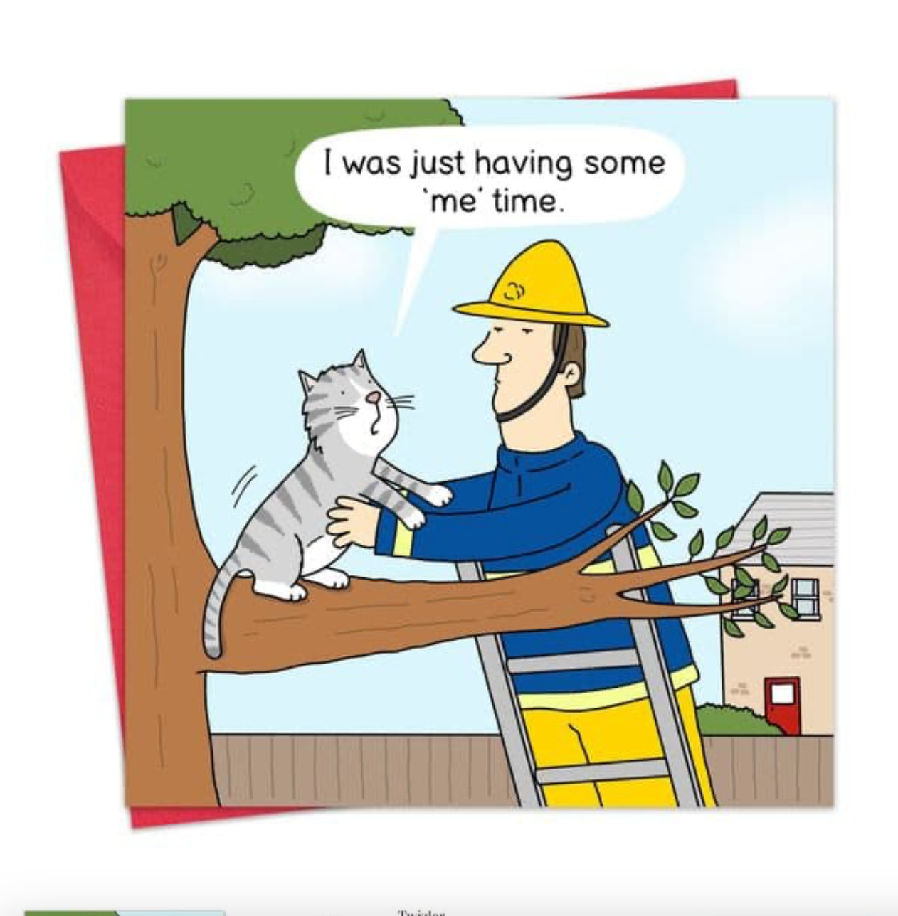 Funny Card - Cat 'Me' Time Greeting Card