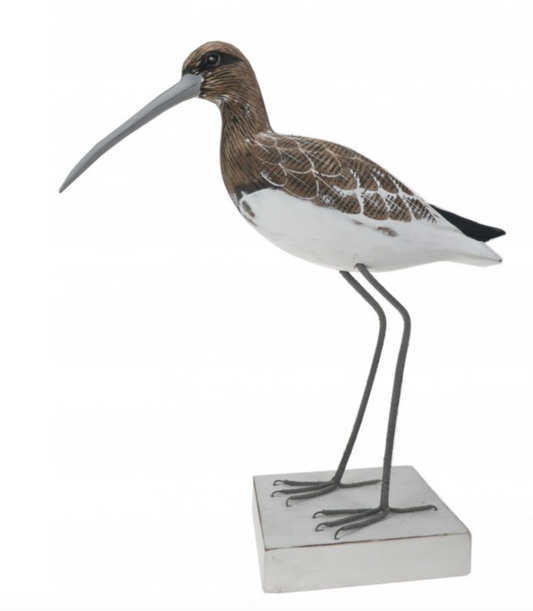 Fishing Curlew