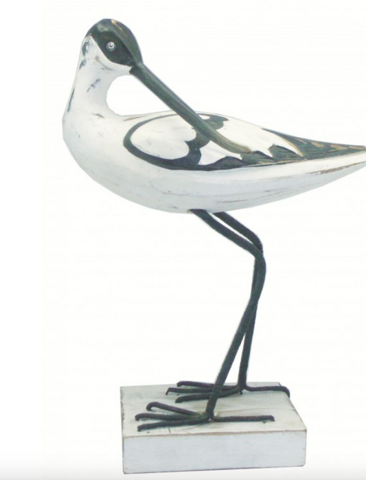 Avocet