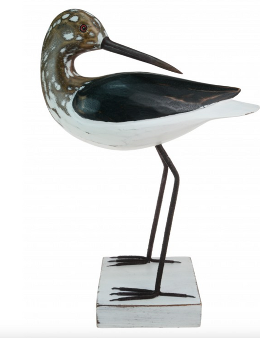 Curlew