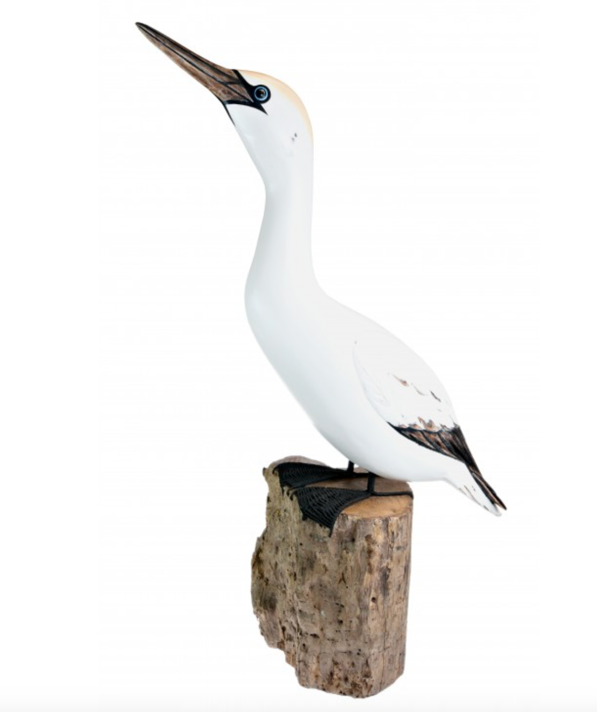 Gannet