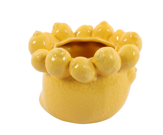 Yellow Lemon flowerpot