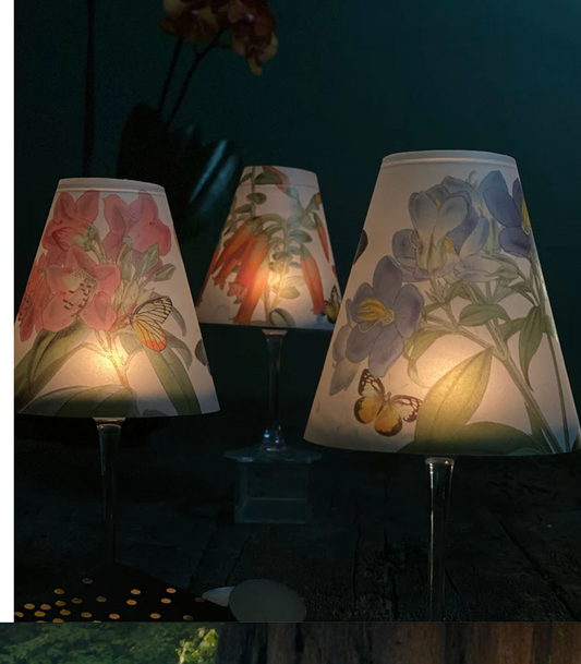 Lamp Shade · Butterflies