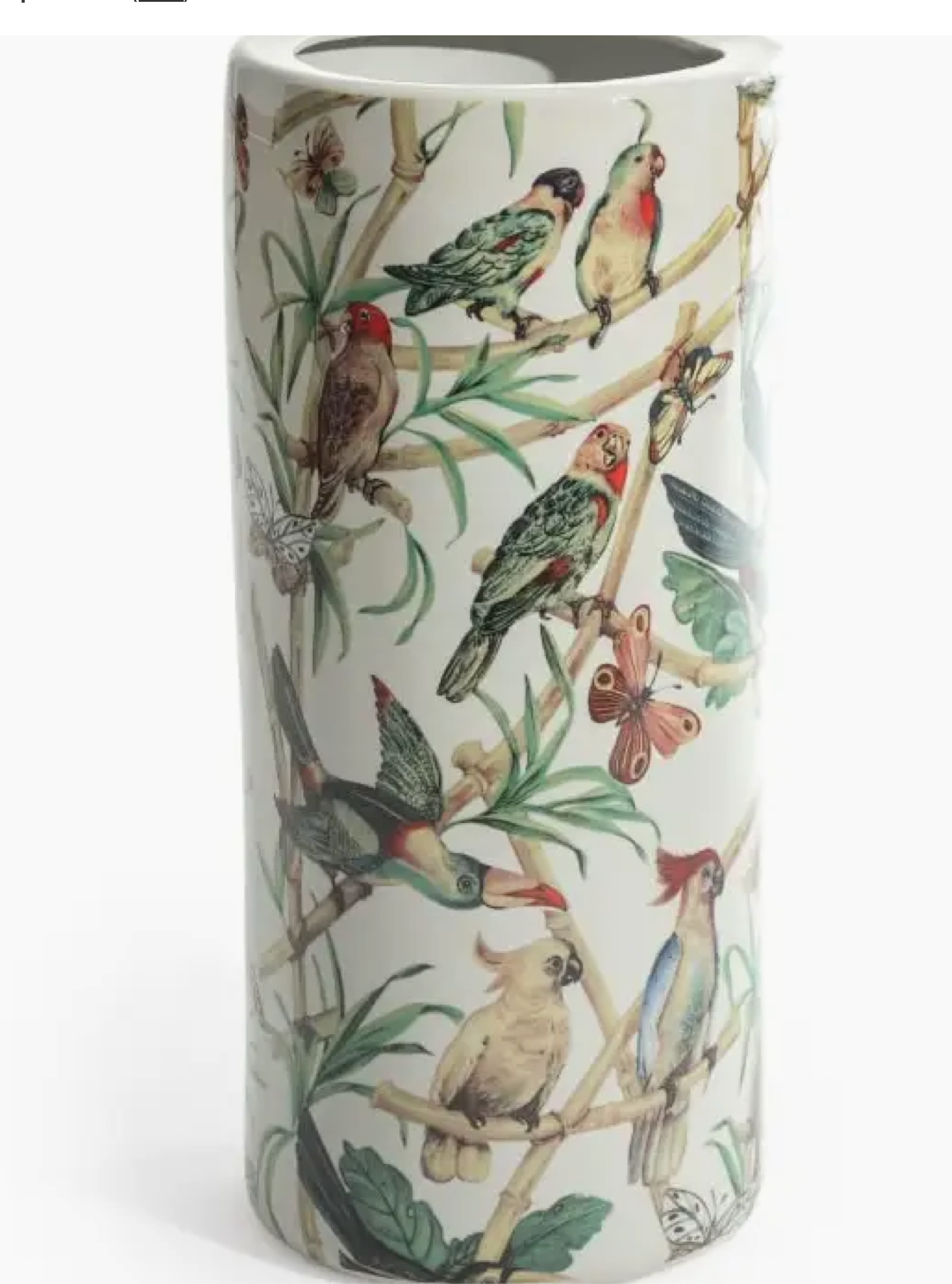Ceramic Amazonian Birds Umbrella Stand