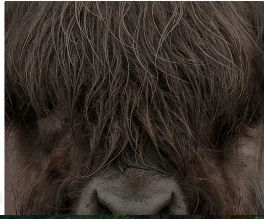 Wooden Decorative Board Highlander Dark