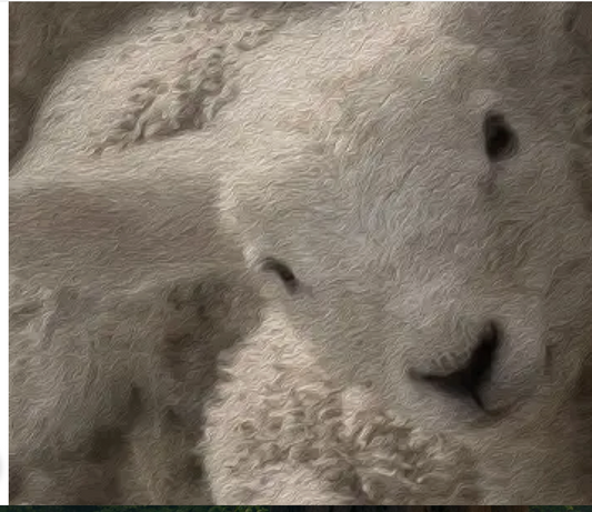 Wooden Decorative Sign Lamb