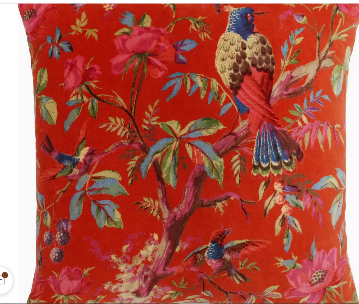 Paradise Velvet Cushion Orange