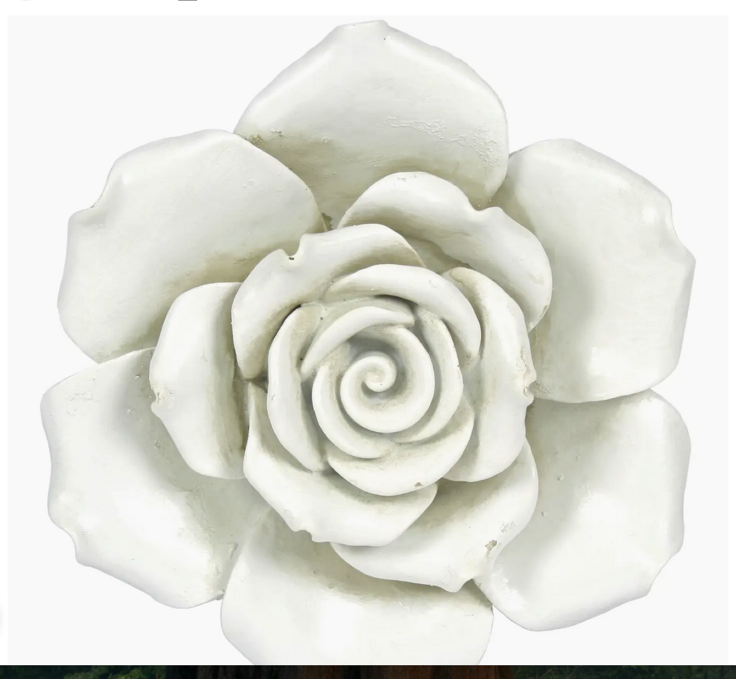 White Hanging Rose