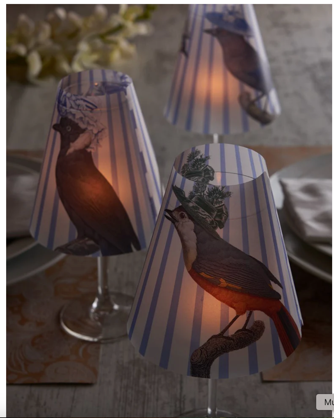 Lamp Shade · Cappelli Birds