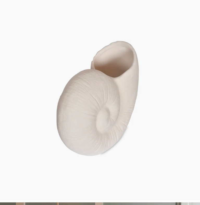 Ceramic Vase with Textured White Shell