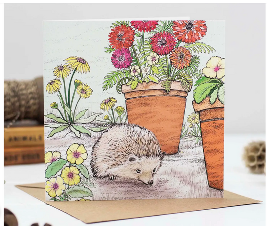 Hedgehog Greeting Card